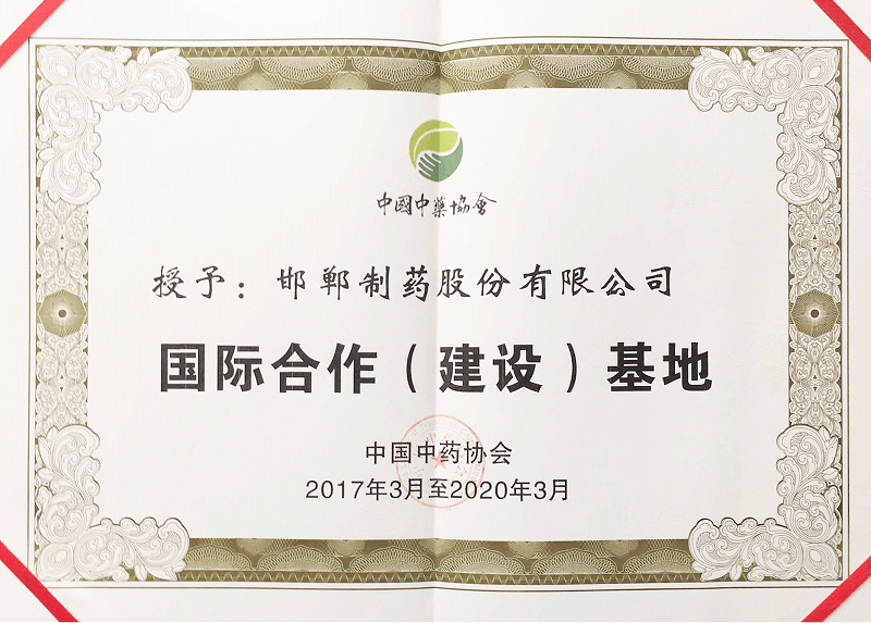 2017年國際合作（建設(shè)）基地